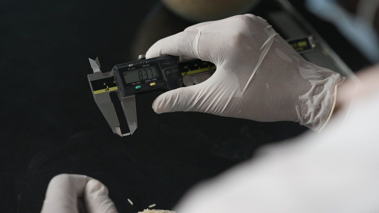 Grading - Measuring Up