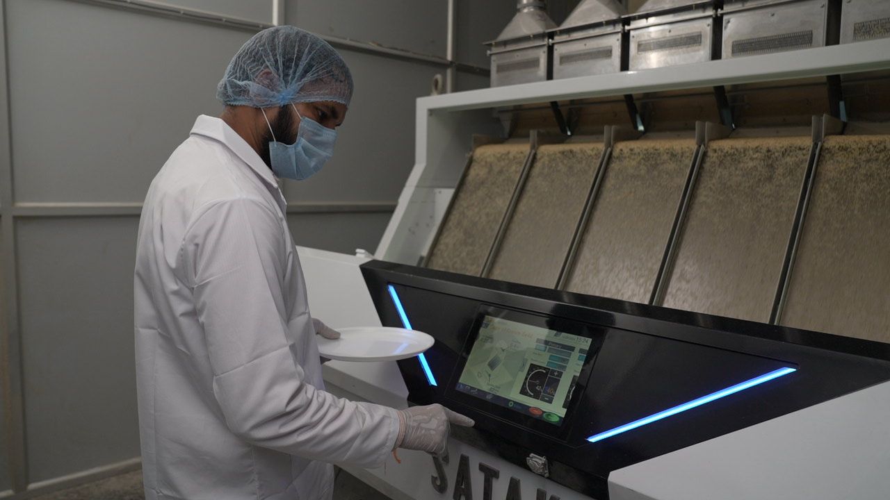 Sort & Grade - The VIP Check